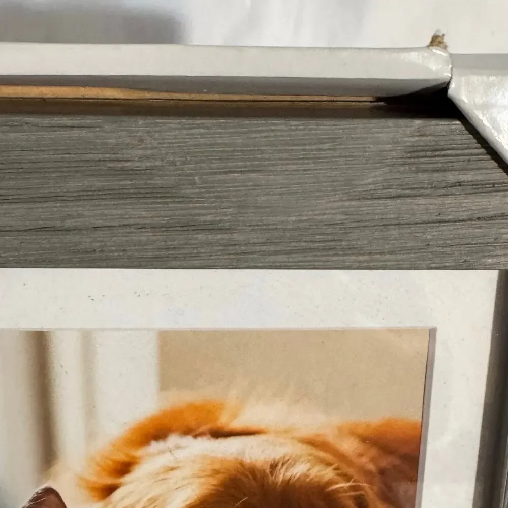 Malden Congratulations Friends Pet Picture Frame Silver Paw Print 5X7 or 4x6